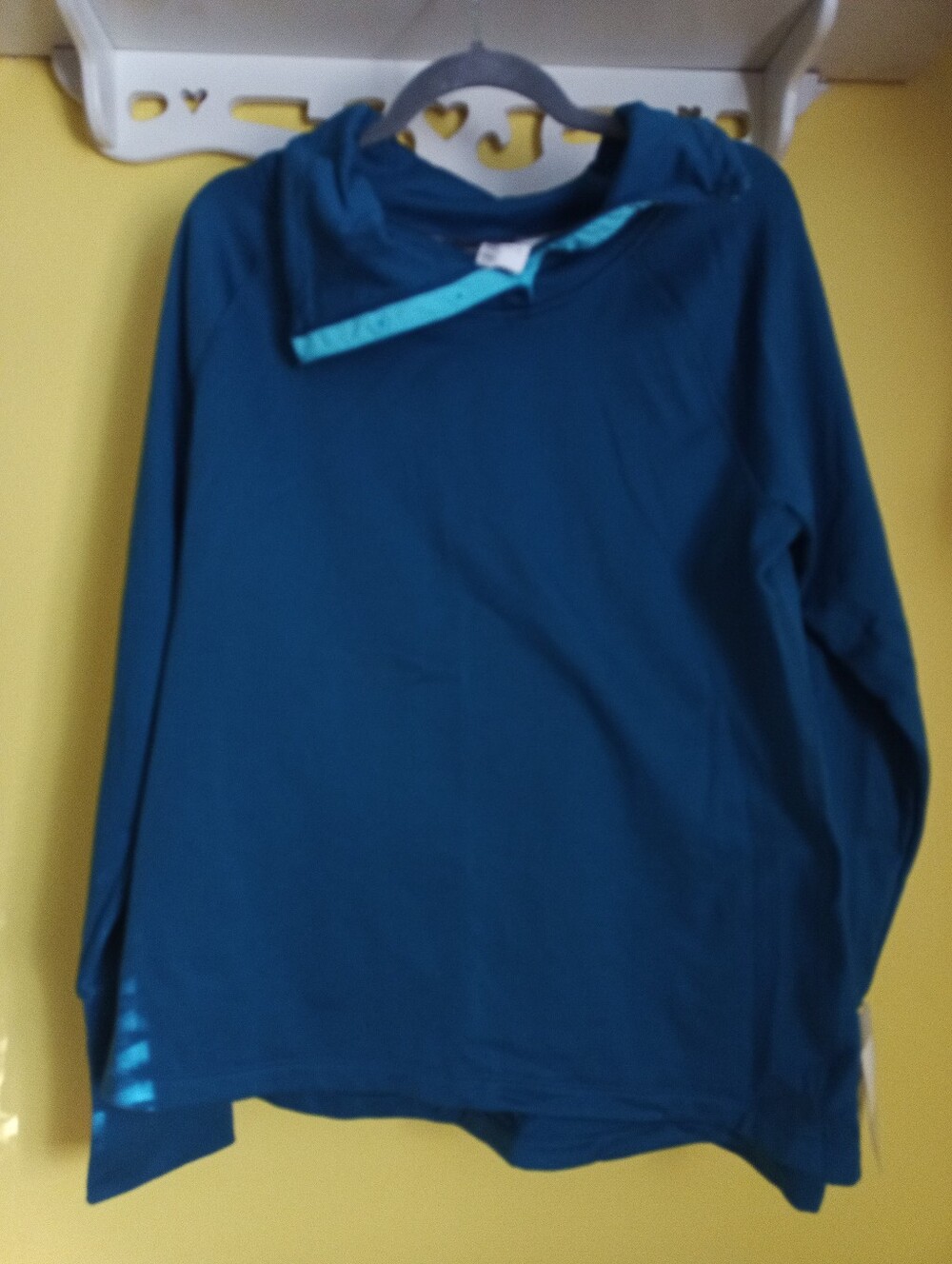 Large Green/Blue Champion Sweatshirt